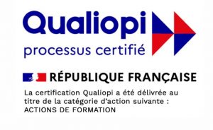 Logo_Qualiopi_Marque_4-768x471